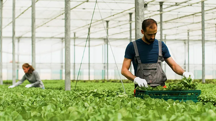 Commercial Iron Railing Newfoundland and Labrador, NL